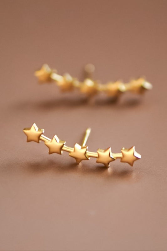 Stainless Steel Studs